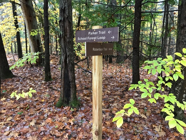 Forest with fallen brown leaves on the grand.  In the center, a wooden sign showing which way to go.